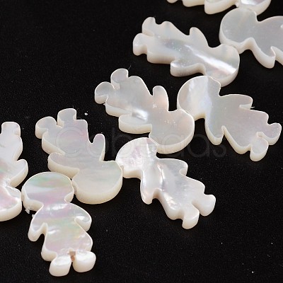 Natural Shell Beads BSHE-O015-25-1