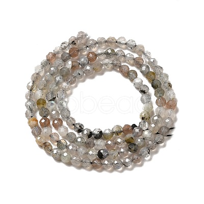 Natural Labradorite Beads Strands X-G-I341-11-1