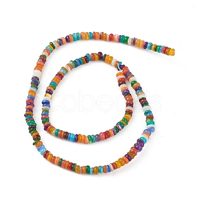 Rainbow Color Natural Freshwater Shell Beads Strands SHEL-M018-08A-1