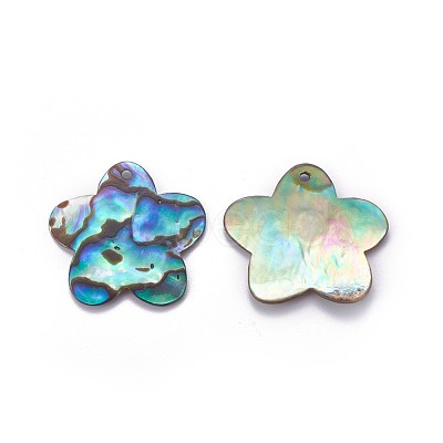 Abalone Shell/Paua Shell Pendants SHEL-P076-07-1