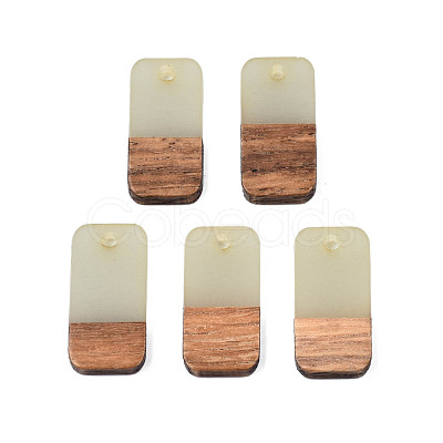 Two-tone Transparent Resin & Walnut Wood Pendants RESI-S384-008A-B05-1