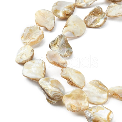 Handmade Shell Beads Strands PBB471-1-1