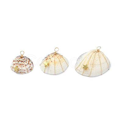 Natural Clam Shell Copper Wire Wrapped Pendants PALLOY-JF02056-02-1