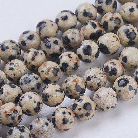 Natural Dalmation Jasper Beads Strands X-G-G515-6mm-06-1