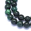 Natural Fuchsite Beads Strands G-F602-11-10mm-3