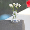 Transparent Miniature Glass Vase Bottles BOTT-PW0006-04L-1