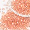 8/0 Round Glass Seed Beads X-SEED-J011-F8-L176-1