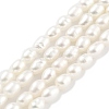 Natural Cultured Freshwater Pearl Beads Strands PEAR-P062-01F-1