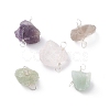 Natural Gemstone Connector Charms PALLOY-JF01390-02-1