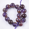 Natural Purple Lodolite Quartz/Purple Phantom Quartz Beads Strands G-S333-12mm-030-2