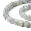 Natural Labradorite Beads Strands G-I270-04-3