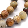 Natural Crazy Lace Agate Beads Strands G-G763-10-6mm-3