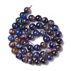 Natural Galaxy Tiger Eye Beads Strands G-P455-01B-4