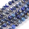 Natural Lapis Lazuli Beads Strands X-G-P335-09-8mm-2