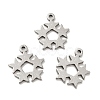 201 Stainless Steel Pendants STAS-A066-10P-2