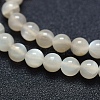 Natural White Moonstone Beads Strands G-P342-02A-6mm-AB-3