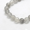 Natural Gemstone Cloudy Quartz Faceted Round Bead Strands G-O021-8mm-03A-2