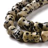 Natural Dalmatian Jasper  Beads Strands G-D481-04-4