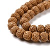 Natural Rudraksha Bodhi Seed Beads WOOD-G011-01B-3
