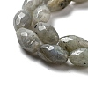 Natural Labradorite Beads Strands G-P520-C08-01-4