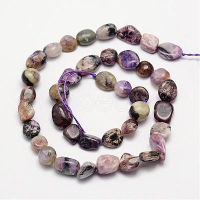 Natural Charoite Bead Strands G-L459-02-1