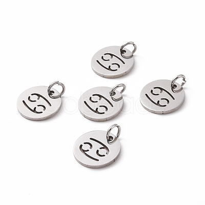 Non-Tarnish 304 Stainless Steel Charms STAS-Q201-T445-4S-1