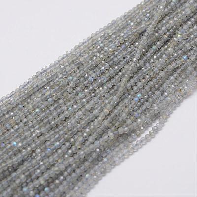 Natural Labradorite Beads Strands G-E347-14-1