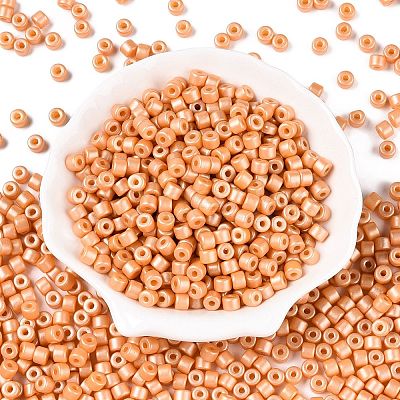 Baking Paint Pearlized Glass Seed Beads SEED-T008-03E-1