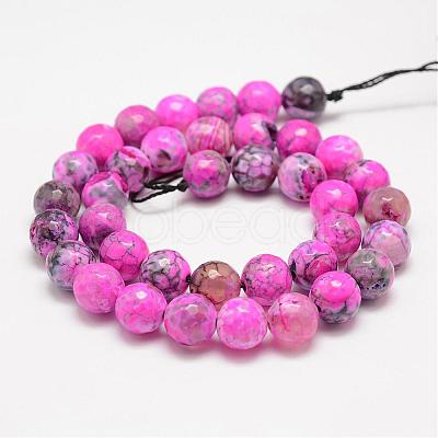 Faceted Natural Fire Crackle Agate Beads Strands G-F447-10mm-A06-1