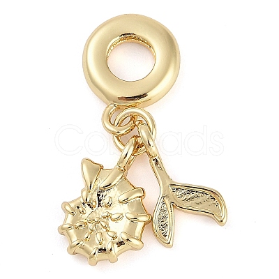 Rack Plating Brass European Dangle Charms KK-P287-32B-G-1