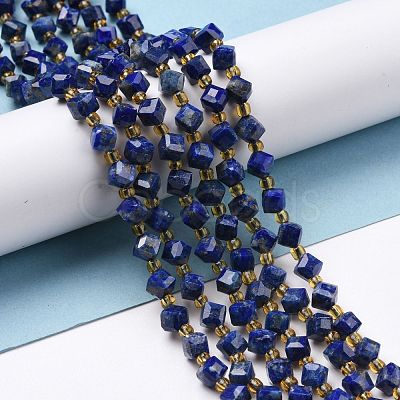 Natural Lapis Lazuli Beads Strands G-P463-25-1