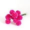 Artificial Flower, Dried Flower for Wedding Christmas Decoration, DIY Craft Home Decor, Deep Pink, 200~300mm, Flower: 25mm in diameter