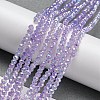 Transparent Baking Painted Glass Beads Strands DGLA-F002-02B-03-2