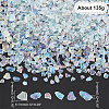   135G Transparent Glass Seed Beads SEED-PH0002-04-2