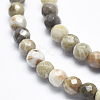 Natural Fossil Coral Beads Strands G-K256-11-4mm-3