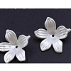 5-Petal ABS Plastic Imitation Pearl Acrylic Bead Caps OACR-ZX006-13-1