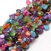 Natural Chips Crackle Agate Beads Strands X-G-P032-06-1
