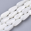 Natural Trochid Shell/Trochus Shell Beads Strands SSHEL-N032-04-1