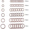 Iron Split Rings IFIN-PH0023-11R-4