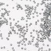 8/0 Transparent Glass Round Seed Beads X-SEED-J010-F8-40-3