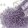 TOHO Round Seed Beads SEED-JPTR08-1300-1