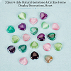 Olycraft 20pcs 4 style Natural Gemstone & Cat Eye Home Display Decorations DJEW-OC0001-36-4