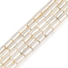 Electroplated Natural Freshwater Shell Beads Strands BSHE-G036-23-1