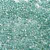Glass Seed Beads SEED-M011-01A-13-3