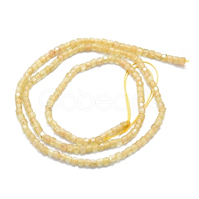 Natural Yellow Apatite Beads Strands G-P457-B01-13-1