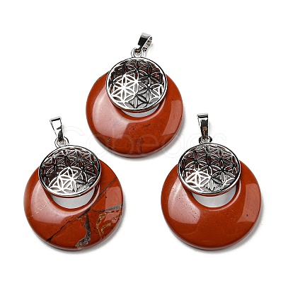 Natural Red Jasper Pendants KK-F751-M-A07-1