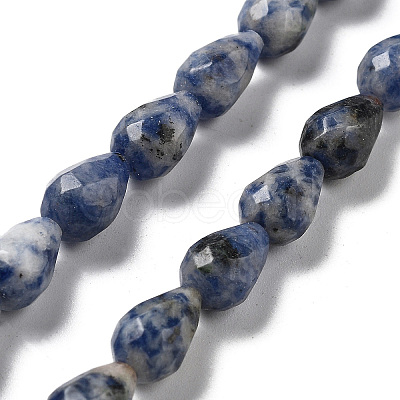 Natural Blue Spot Jasper Beads Strands G-P520-B21-01-1