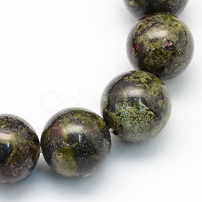 Round Natural Dragon Blood Jasper Beads Strands G-S173-12mm-1