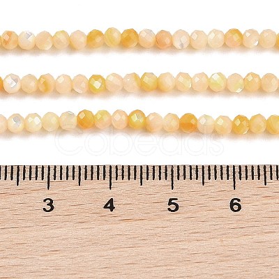 Natural Yellow Shell Beads Strands BSHE-G036-09B-1