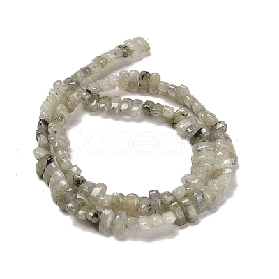 Natural Labradorite Beads Strands G-Q167-B19-01-1